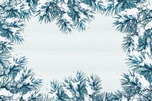 Christmas background with pine branches. photo