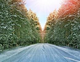 woods. Winter landscape. Snow covered trees. Forest Road