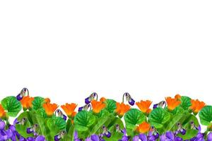 Floral background of bright flowers photo