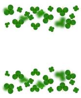 leaf clover on white background. Green foliage. St.Patrick 's Day. photo