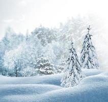 paisaje de invierno tarjeta de Navidad. fiesta. foto