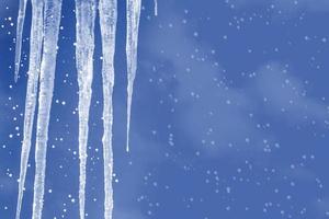 White icicles against the blue winter sky. photo