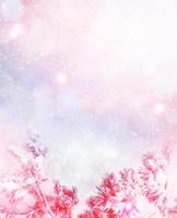 Frozen winter forest with snow covered trees. photo