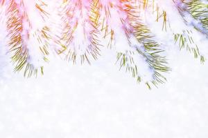 Frozen winter forest with snow covered trees. photo