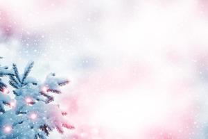 forest in the frost. Winter landscape. Snow covered trees. photo
