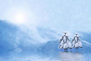 Frozen winter forest with snow covered trees. photo