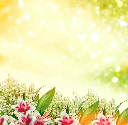 Background Undangan Stock Photos, Images and Backgrounds for Free Download