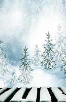 winter Landscape. winter snow. Christmas card. photo