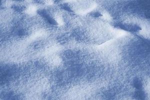 Background. Winter landscape. The texture of the snow photo