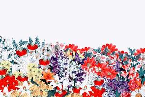 flowers isolated on white background photo