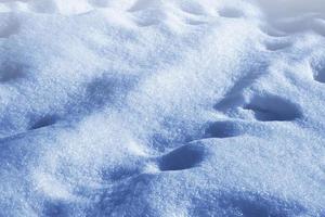 antecedentes. paisaje de invierno la textura de la nieve foto