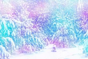 forest in the frost. Winter landscape. Snow covered trees. photo