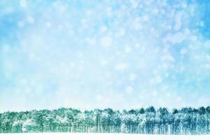 Blurred background. winter forest with snow covered trees. photo