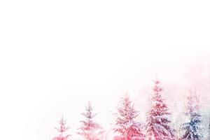 bosque de invierno congelado con árboles cubiertos de nieve. foto