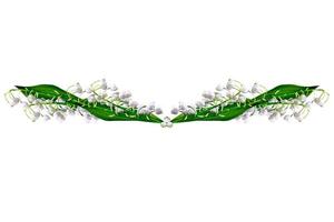 The branch of lilies of the valley flowers isolated on white background photo
