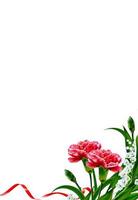 Bouquet of flowers carnation. Flowers isolated on white background. photo