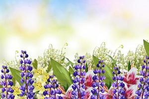 Beautiful flowers lupine and lily of the valley photo