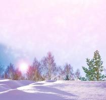 Frozen winter forest with snow covered trees. photo