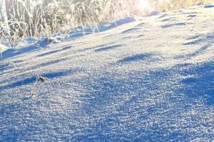 Background of snow. Winter landscape photo