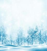 Frozen winter forest with snow covered trees. photo