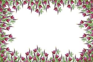 Bright lupine flowers and tulips isolated on white background photo