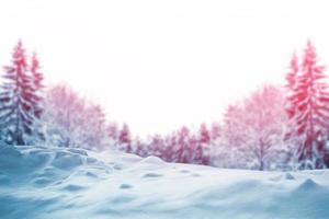 Frozen winter forest with snow covered trees. photo