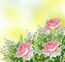 los capullos de flores rosas. tarjeta de vacaciones fondo floral de rosas. foto