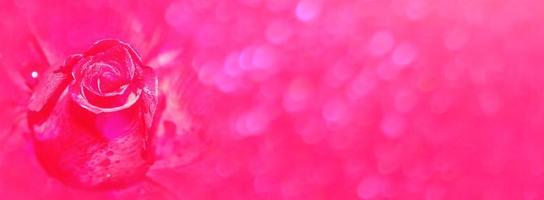 Blurred abstract background. photo