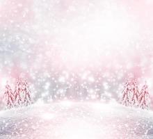 forest in the frost. Winter landscape. Snow covered trees. photo