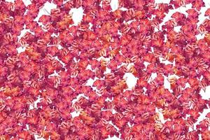 abstract background of autumn leaves photo