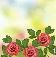los capullos de flores rosas. tarjeta de vacaciones foto