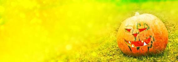 Autumn background of the fruits of a bright orange pumpkin. photo