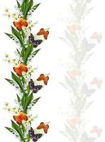 branch of flowers and butterflies isolated on a white background photo