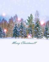 New Year card.  Winter landscape. Snow covered trees photo