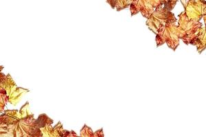 abstract background of autumn leaves photo