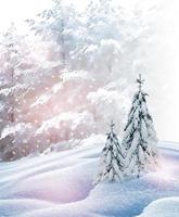 winter snow. Christmas card.