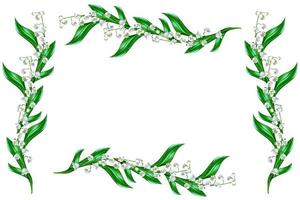 The branch of lilies of the valley flowers isolated on white background. photo