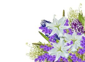 Colorful spring flowers isolated on white background. photo