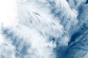 Abstract ice frost natural background with hoarfrost crystals. photo