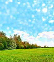 Autumn landscape with colorful bright beautiful trees. photo