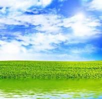 prado con hierba verde sobre un fondo de cielo azul con nubes foto