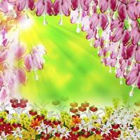 floral background. Bright colorful flowers. Nature. photo