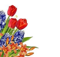 Flowers tulips, lilies and hyacinths isolated on white background. photo