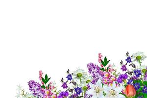 Bright colorful field and garden flowers isolated on white background. photo