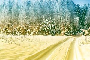 bosque de invierno congelado con árboles cubiertos de nieve. foto