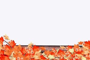 abstract background of autumn leaves photo