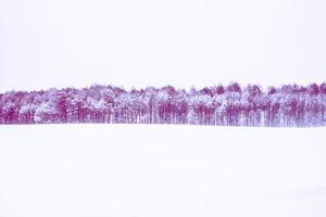 Blurred background. winter forest with snow covered trees. photo