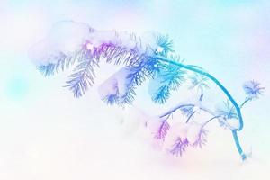 Frozen winter forest with snow covered trees. photo