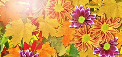 abstract background of autumn leaves photo