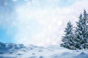 Frozen winter forest with snow covered trees. photo